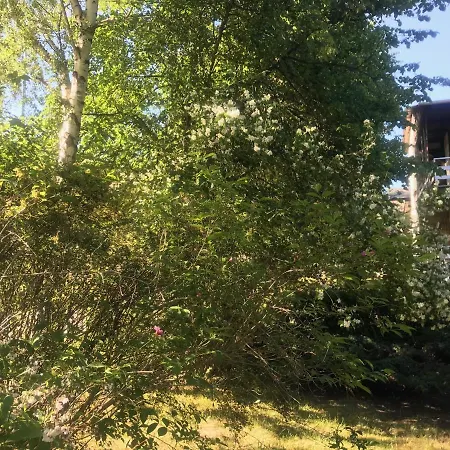 Piaskowa 5 בית הארחה Chłapowo