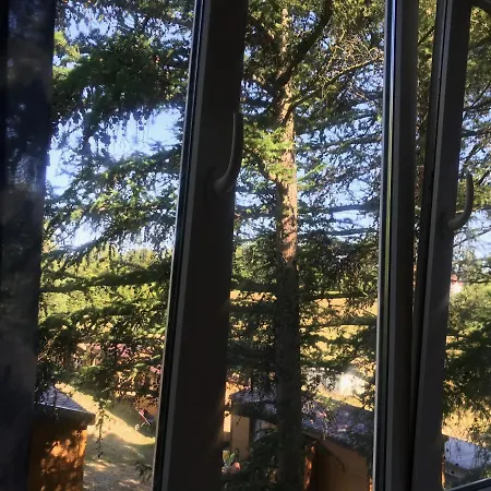 Piaskowa 5 Wladyslawowo-Chlapowo