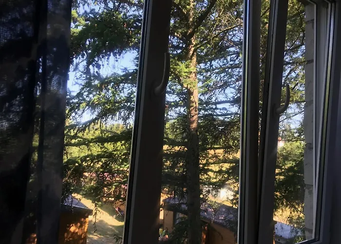 Piaskowa 5 Chłapowo